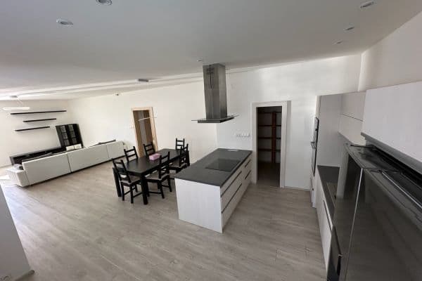 2 bedroom with open-plan kitchen flat to rent, 130 m², Na Nivách, Praha 2 bedroom with open-plan kitchen flat to rent, 130 m², Na Nivách, Praha