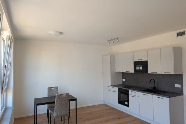 Studio flat to rent, 33 m², U Komína, Praha Studio flat to rent, 33 m², U Komína, Praha