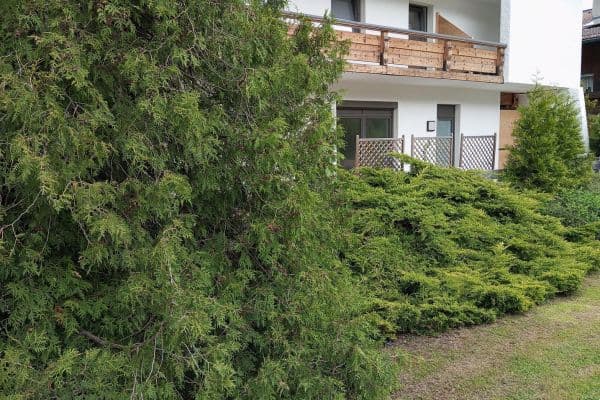 1 bedroom with open-plan kitchen flat to rent, 70 m², Inzell, Bavaria 1 bedroom with open-plan kitchen flat to rent, 70 m², Inzell, Bavaria