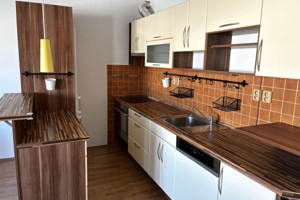 1 bedroom with open-plan kitchen flat to rent, 56 m², K Netlukám, Praha 1 bedroom with open-plan kitchen flat to rent, 56 m², K Netlukám, Praha