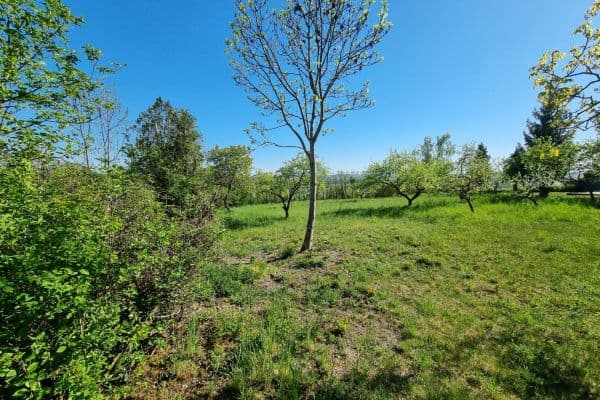 plot for sale, 998 m², Hoštka plot for sale, 998 m², Hoštka