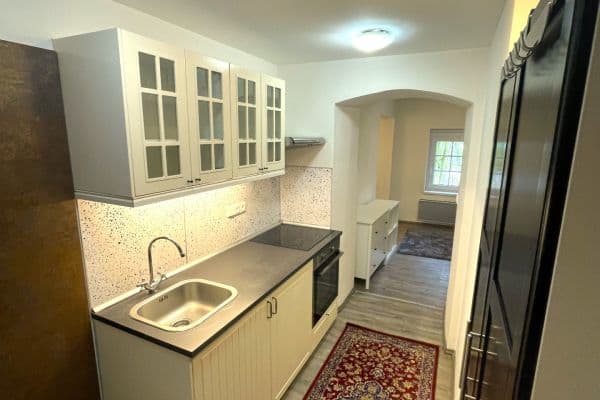 Studio flat to rent, 18 m², Na Cikánce, Praha Studio flat to rent, 18 m², Na Cikánce, Praha