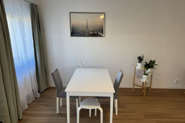 1 bedroom with open-plan kitchen flat to rent, 88 m², Hřímalého, Plzeň 1 bedroom with open-plan kitchen flat to rent, 88 m², Hřímalého, Plzeň