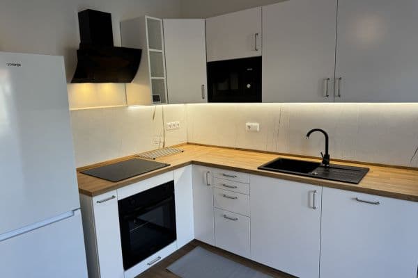 1 bedroom with open-plan kitchen flat to rent, 75 m², Hřímalého, Plzeň, Plzeňský Region 1 bedroom with open-plan kitchen flat to rent, 75 m², Hřímalého, Plzeň, Plzeňský Region
