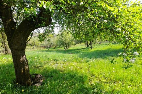 plot for sale, 2,321 m², Starkoč u Vysokova plot for sale, 2,321 m², Starkoč u Vysokova