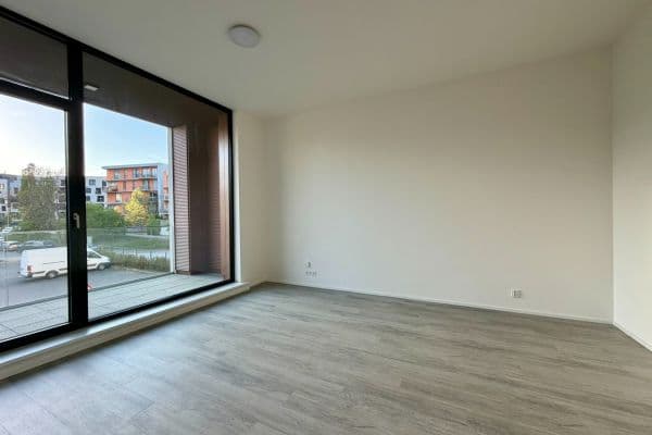 1 bedroom with open-plan kitchen flat to rent, 57 m², Malešická, Praha 1 bedroom with open-plan kitchen flat to rent, 57 m², Malešická, Praha