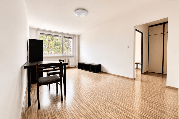 1 bedroom with open-plan kitchen flat for sale, 49 m², Nechvílova, Praha 1 bedroom with open-plan kitchen flat for sale, 49 m², Nechvílova, Praha