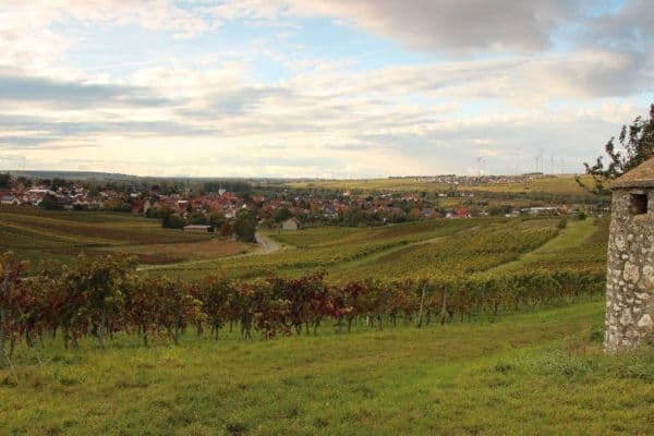 plot for sale, 1,500 m², Gundersheim plot for sale, 1,500 m², Gundersheim