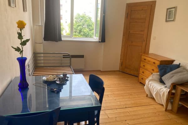 Studio flat to rent, 18 m², Sarajevská, Praha Studio flat to rent, 18 m², Sarajevská, Praha