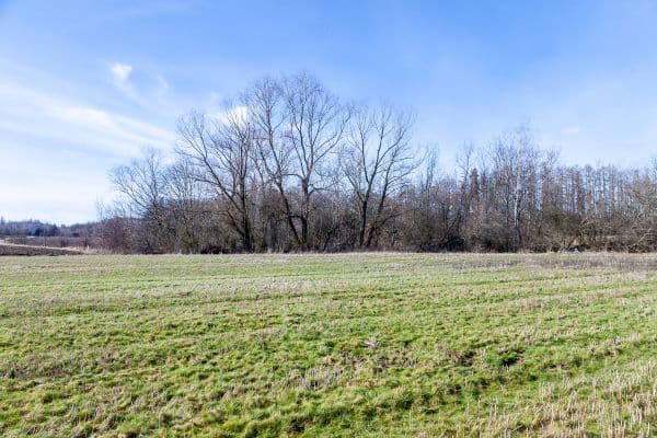 plot for sale, 5,987 m², Lesní, Úhonice plot for sale, 5,987 m², Lesní, Úhonice