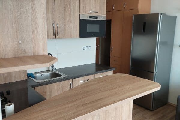 1 bedroom with open-plan kitchen flat to rent, 36 m², Srbská, Brno 1 bedroom with open-plan kitchen flat to rent, 36 m², Srbská, Brno