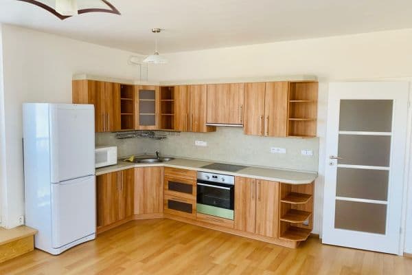 1 bedroom with open-plan kitchen flat to rent, 65 m², Pod Formankou, Praha 1 bedroom with open-plan kitchen flat to rent, 65 m², Pod Formankou, Praha