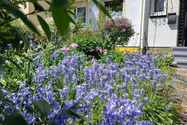 house for sale, 142 m², Frankfurt am Main house for sale, 142 m², Frankfurt am Main