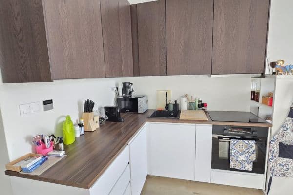 1 bedroom with open-plan kitchen flat to rent, 54 m², Pod Kotlaskou, Praha 1 bedroom with open-plan kitchen flat to rent, 54 m², Pod Kotlaskou, Praha
