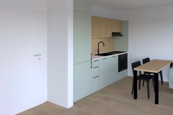 1 bedroom with open-plan kitchen flat to rent, 43 m², Kyjevská, Brno 1 bedroom with open-plan kitchen flat to rent, 43 m², Kyjevská, Brno