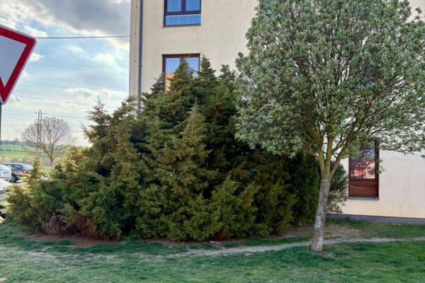 2 bedroom with open-plan kitchen flat to rent, 58 m², Okružní, Roudnice nad Labem 2 bedroom with open-plan kitchen flat to rent, 58 m², Okružní, Roudnice nad Labem
