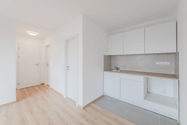 Studio flat to rent, 24 m², U Střelnice, Hradec Králové Studio flat to rent, 24 m², U Střelnice, Hradec Králové