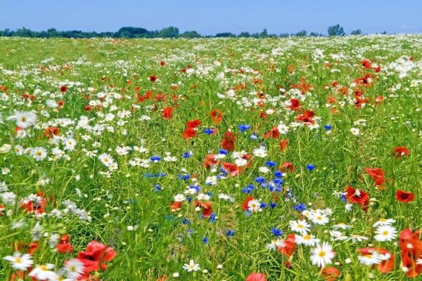 plot for sale, 519 m², München, Bavaria plot for sale, 519 m², München, Bavaria