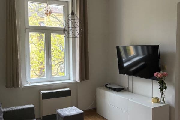 1 bedroom with open-plan kitchen flat to rent, 42 m², Na Ostrůvku, Praha 1 bedroom with open-plan kitchen flat to rent, 42 m², Na Ostrůvku, Praha
