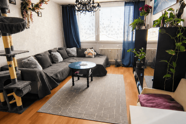 2 bedroom with open-plan kitchen flat for sale, 57 m², Radomská, Praha 2 bedroom with open-plan kitchen flat for sale, 57 m², Radomská, Praha