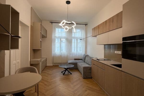 1 bedroom with open-plan kitchen flat to rent, 64 m², Kubelíkova, Praha 1 bedroom with open-plan kitchen flat to rent, 64 m², Kubelíkova, Praha
