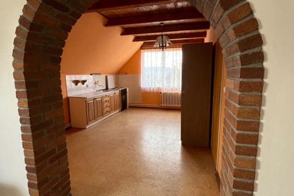 1 bedroom with open-plan kitchen flat to rent, 55 m², Na Vrškách, Praha 1 bedroom with open-plan kitchen flat to rent, 55 m², Na Vrškách, Praha