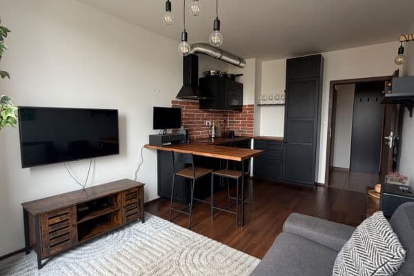1 bedroom with open-plan kitchen flat to rent, 50 m², Jankovcova, Prague, Prague 1 bedroom with open-plan kitchen flat to rent, 50 m², Jankovcova, Prague, Prague