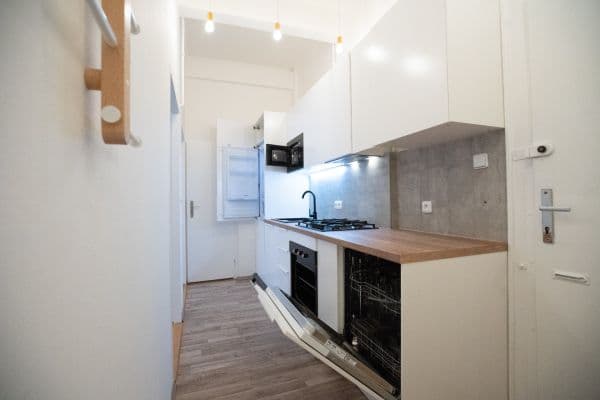 1 bedroom with open-plan kitchen flat to rent, 48 m², Žerotínova, Praha 1 bedroom with open-plan kitchen flat to rent, 48 m², Žerotínova, Praha