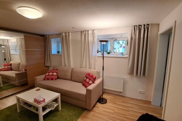 1 bedroom with open-plan kitchen flat to rent, 45 m², Na Lužci, Praha 1 bedroom with open-plan kitchen flat to rent, 45 m², Na Lužci, Praha