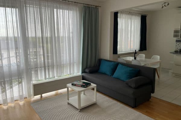 1 bedroom with open-plan kitchen flat to rent, 49 m², Dandova, Praha 1 bedroom with open-plan kitchen flat to rent, 49 m², Dandova, Praha