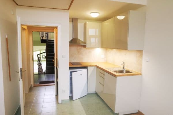 Studio flat to rent, 28 m², Radlická, Praha Studio flat to rent, 28 m², Radlická, Praha