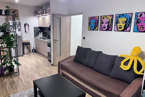 1 bedroom with open-plan kitchen flat to rent, 48 m², Oblá, Brno 1 bedroom with open-plan kitchen flat to rent, 48 m², Oblá, Brno