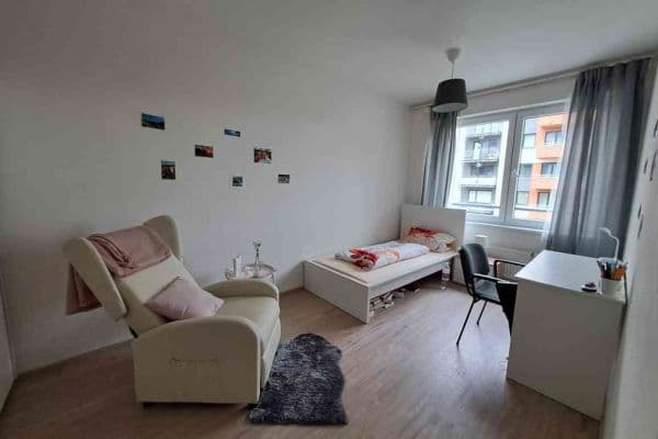 1 bedroom with open-plan kitchen flat to rent, 62 m², K Metru, Prague 1 bedroom with open-plan kitchen flat to rent, 62 m², K Metru, Prague