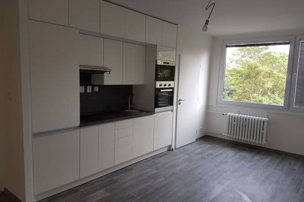 1 bedroom with open-plan kitchen flat to rent, 34 m², Červenkova, Praha 1 bedroom with open-plan kitchen flat to rent, 34 m², Červenkova, Praha