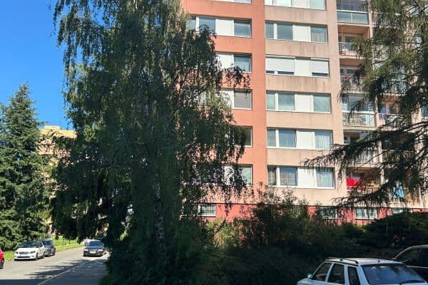 1 bedroom with open-plan kitchen flat for sale, 44 m², Smotlachova, Praha 1 bedroom with open-plan kitchen flat for sale, 44 m², Smotlachova, Praha