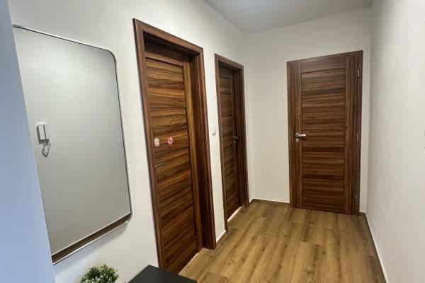 3 bedroom with open-plan kitchen flat to rent, 60 m², Kaplická, Praha 3 bedroom with open-plan kitchen flat to rent, 60 m², Kaplická, Praha