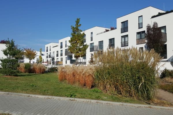 Studio flat to rent, 25 m², Markůvky, Brno Studio flat to rent, 25 m², Markůvky, Brno