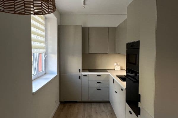 1 bedroom with open-plan kitchen flat to rent, 58 m², Riegrova, Černošice 1 bedroom with open-plan kitchen flat to rent, 58 m², Riegrova, Černošice