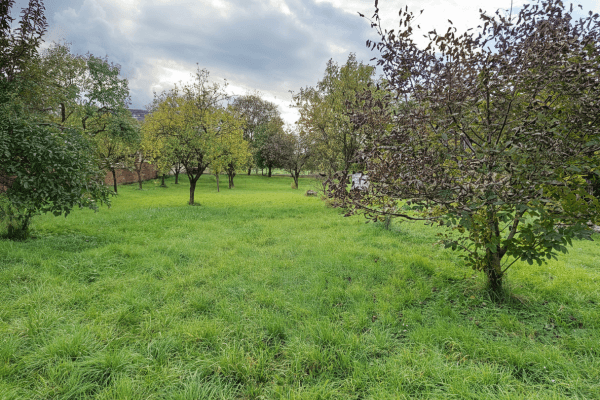 plot for sale, 2,042 m², Chvalkovice na Hané plot for sale, 2,042 m², Chvalkovice na Hané