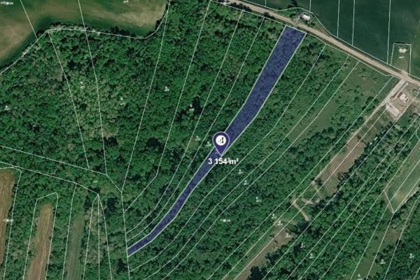 plot for sale, 3,154 m², Nikolčice plot for sale, 3,154 m², Nikolčice