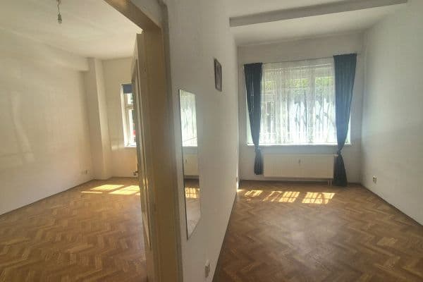 1 bedroom with open-plan kitchen flat to rent, 47 m², Sokolovská, Praha 1 bedroom with open-plan kitchen flat to rent, 47 m², Sokolovská, Praha
