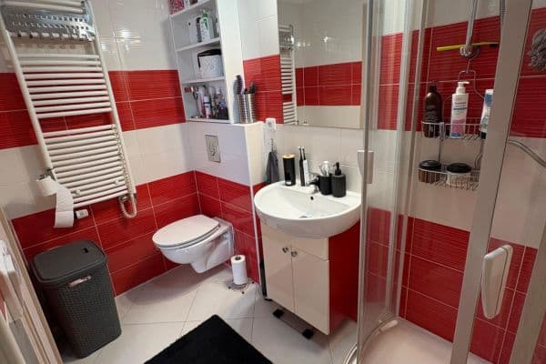 1 bedroom with open-plan kitchen flat to rent, 42 m², Lidická třída, České Budějovice 1 bedroom with open-plan kitchen flat to rent, 42 m², Lidická třída, České Budějovice