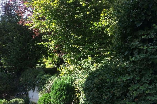 1 bedroom flat to rent, 16 m², Stuttgart-Kaltental, Baden-Württemberg 1 bedroom flat to rent, 16 m², Stuttgart-Kaltental, Baden-Württemberg