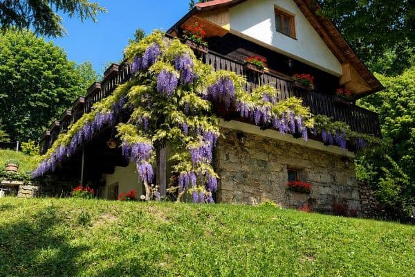 recreational property to rent, 0 m², Trnava recreational property to rent, 0 m², Trnava