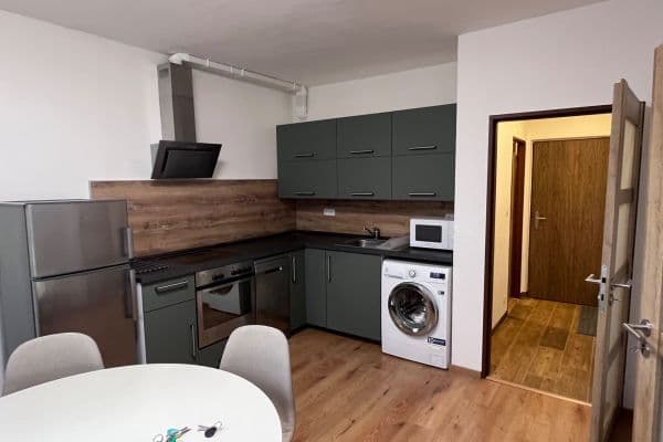1 bedroom with open-plan kitchen flat to rent, 36 m², Gagarinova, Liberec 1 bedroom with open-plan kitchen flat to rent, 36 m², Gagarinova, Liberec