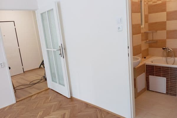 1 bedroom with open-plan kitchen flat to rent, 43 m², Plzeňská, Praha 1 bedroom with open-plan kitchen flat to rent, 43 m², Plzeňská, Praha