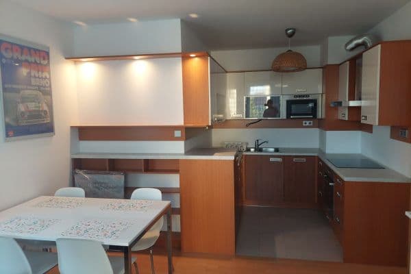 1 bedroom with open-plan kitchen flat to rent, 55 m², Smetáčkova, Praha 1 bedroom with open-plan kitchen flat to rent, 55 m², Smetáčkova, Praha