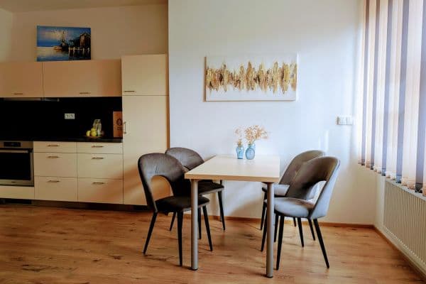 1 bedroom with open-plan kitchen flat for sale, 59 m², Křenová, Brno 1 bedroom with open-plan kitchen flat for sale, 59 m², Křenová, Brno