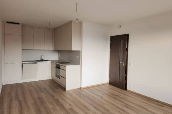 1 bedroom with open-plan kitchen flat to rent, 56 m², Hodkovická, Praha 1 bedroom with open-plan kitchen flat to rent, 56 m², Hodkovická, Praha