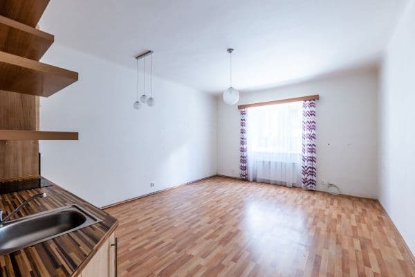 1 bedroom with open-plan kitchen flat for sale, 50 m², Jablonského, Plzeň, Plzeňský Region 1 bedroom with open-plan kitchen flat for sale, 50 m², Jablonského, Plzeň, Plzeňský Region